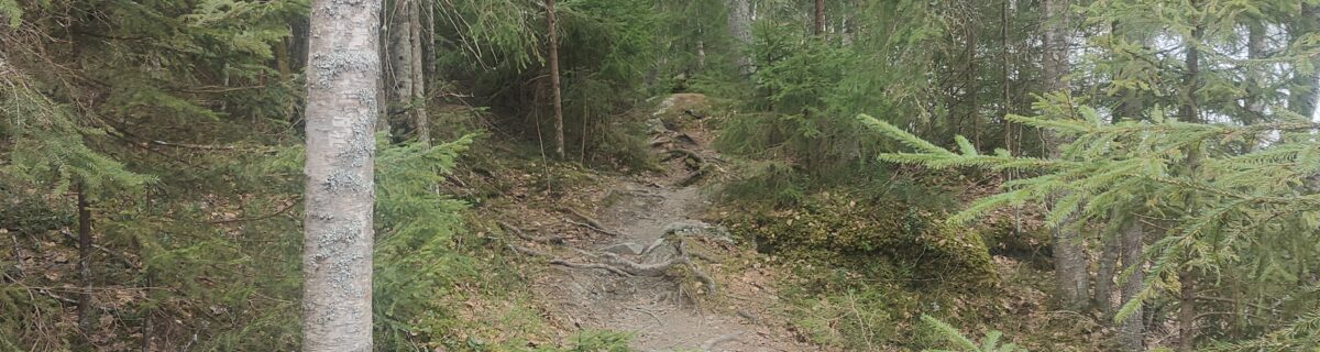 Polku Niihamajärven rannalla